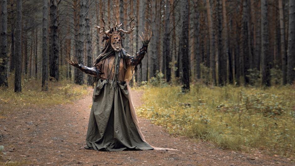 The Elder Tree in European Folklore: Guardian of the Threshold